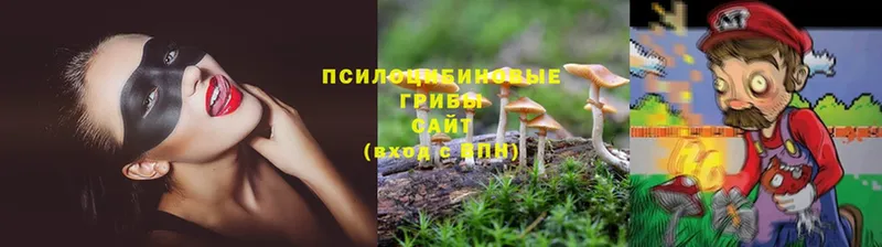 kraken зеркало  Ужур  Галлюциногенные грибы Magic Shrooms 